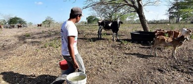 Temporada baja de huracanes tiene al país sin lluvias y con altas temperaturas