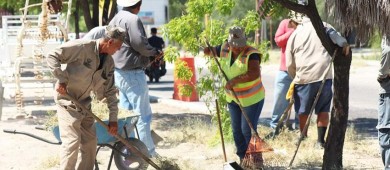 Limpia Servicios Públicos 1.3 kilómetros del bulevar Margarita Maza de Juárez
