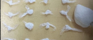 Por delito contra la salud, FGR obtiene sentencia condenatoria contra una persona en BCS