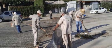 Servicios Públicos Los Cabos lleva a cabo labores para rehabilitar avenidas y retirar basura