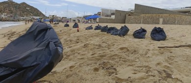 Continúan las labores de limpieza por parte del personal de ZOFEMAT en playas de Los Cabos