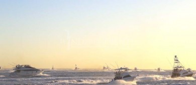 Arranca temporada de pesca deportiva con Los Cabos Billfish Tournament