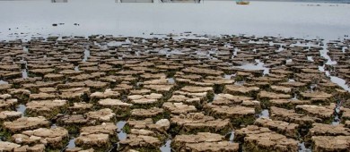 México con recursos insuficientes para enfrentar grave sequía: IMCO