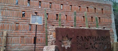 Invita UABCS al primer Festival de Aves del Santuario de Los Cactus en ejido El Rosario