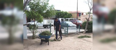 Reactivan actividades deportivas en campos y Centros Municipales