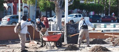 Se unen ciudadanos, comerciantes y Ayto en la limpieza del Malecón de La Paz