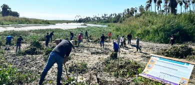 Llevarán a cabo una segunda jornada de limpieza en el Estero de SJC