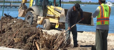 Recolecta Servicios Públicos más de 88 toneladas de residuos en el Malecón de La Paz