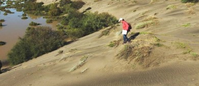 Realizan estudio de caracterización de dunas en El Mogote y Puerto Chale
