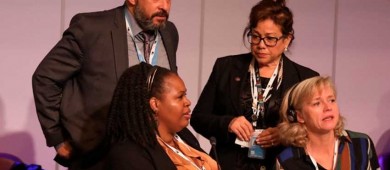 Comunidad internacional ordena nueva visita de observación a México por vaquita marina