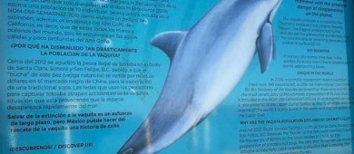 México libra sanciones por la vaquita marina