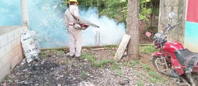 Ola de dengue se dispara 433.07%; comparativo entre 2022 y 2023