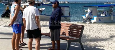 Prestadores de servicios turísticos prevén derrama económica de 45 MDP durante temporada de avistamiento de Tiburón Ballena