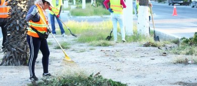 Continúan los trabajos de limpieza en camellones y avenidas de La Paz