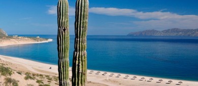 Conservación y ecoturismo: una estrategia para privatizar las playas de Baja California Sur