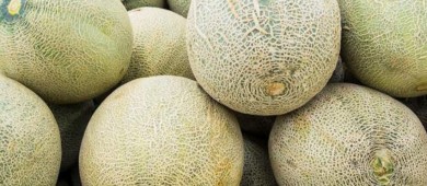 Alerta Cofepris por frutas importadas contaminadas con peligrosa bacteria