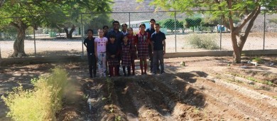 Atienden 180 docentes de BCS a más de 2 mil alumnos en escuelas multigrado