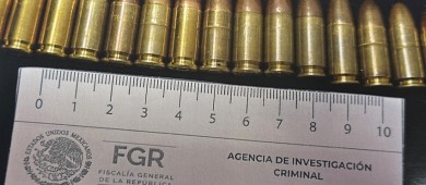 Resultados de la FGR en baja california sur durante el año 2023