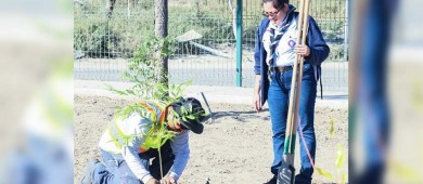 Trasplantan más de 300 árboles en parques de la colonia Valle Dorado y La Pitahaya