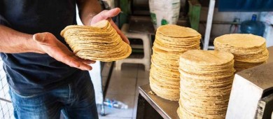 No aumentará precio de harina de maíz en 2024: AMLO