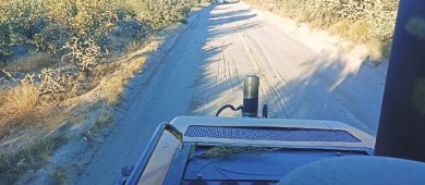 Continúa Servicios Públicos con nivelación de calles de terracería en colonias de La Paz