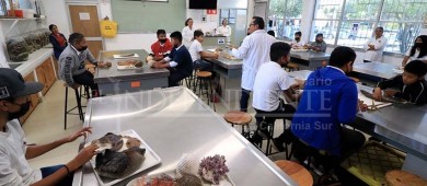 UABCS invita a escuelas primarias a su Semana de Acercamiento a la Ciencia
