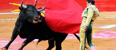 Impugna Plaza México suspensión de corridas de toros