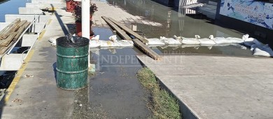 Movilidad e imagen urbana de Los Cabos, conceptos peor calificados por los turistas