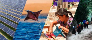 Proponen decálogo de temas ambientales a aspirantes presidenciales