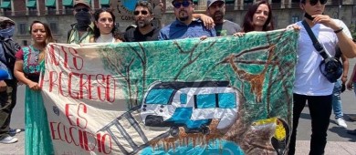 AMLO arremete contra ambientalistas tras suspensión de Tren Maya