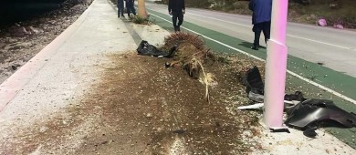 Destrozó su automóvil y mobiliario urbano