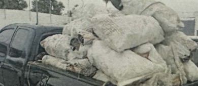 Por delito contra la gestión ambiental, vinculan a proceso contra dos personas en BCS