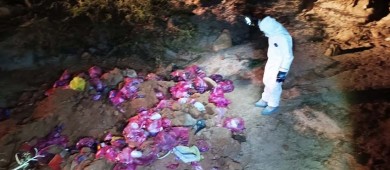 Por delito contra el medio ambiente, FGR inicia carpeta de investigación en BCS