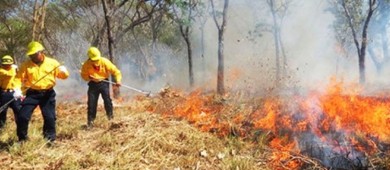 84 incendios se mantienen activos en el país: Conafor