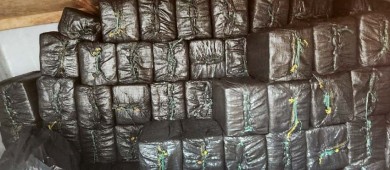 Fueron sentenciadas a más de 8 años de prisión 5 personas por posesión de más de tres toneladas de cocaína