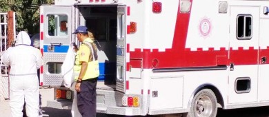 Desmiente Protección Civil Municipal ataque de abejas africanas en El Centenario