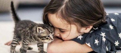 Protección animal se inculcará en infancia; aprueban reforma