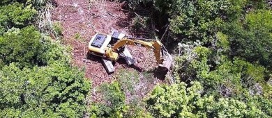 INAI ordena transparentar Impacto Ambiental de hoteles del Tren Maya