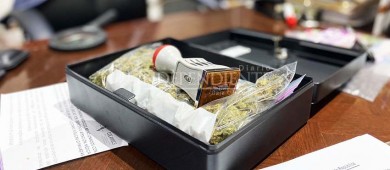 Consejeros de la CEDH simulan destitución de Charlene Ramos como presidenta