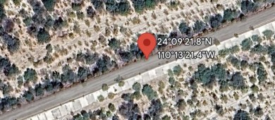 Localizan 7 cuerpos en una fosa clandestina