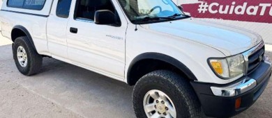 Asegura PEP a persona en posesión de producto marino en veda