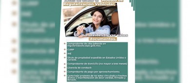 Insiste REPUVE a propietarios de autos chocolate regularizar sus unidades