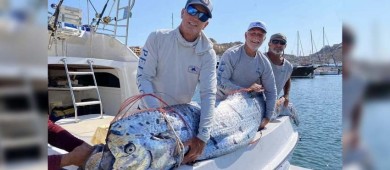 Localizan enorme "pez terremoto" en playas de Los Cabos