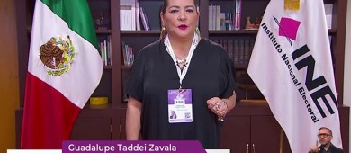 Minimiza Taddei incidentes en arranque de jornada electoral