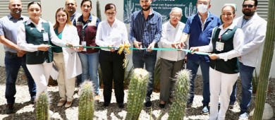 Inauguran en el hospital Salvatierra jardín de cactáceas regionales