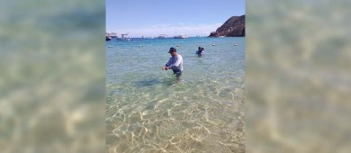 Quiróz León: Playas de La Paz en optimas condiciones para su uso recreativo