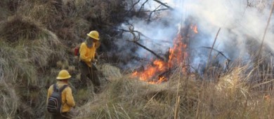 Conafor reporta 106 incendios forestales activos en 22 estados