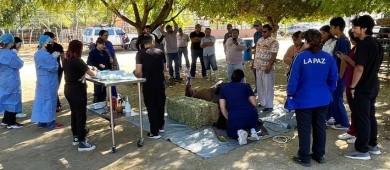 Apoya Gobierno Municipal a estudiantes de la UABCS con prácticas veterinarias