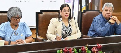 Emite Congreso convocatoria para comisionado de la Comisión de Selección del SEA