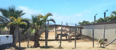 Supervisa Ayuntamiento de La Paz obstrucción de vía pública en la comunidad de Cerritos